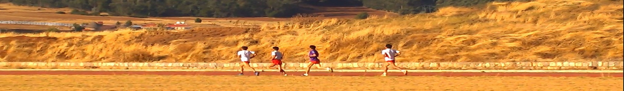 Boston Running Coach